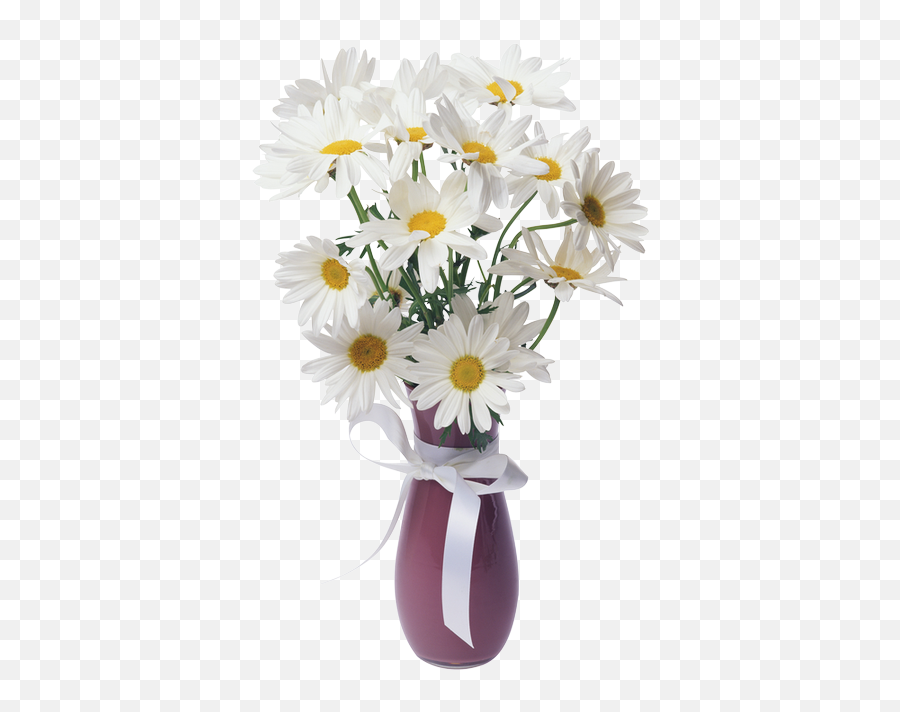 Daisies Transparent Vase Bouquet - Flower Vase Png Emoji,Vase Of Flowers Clipart