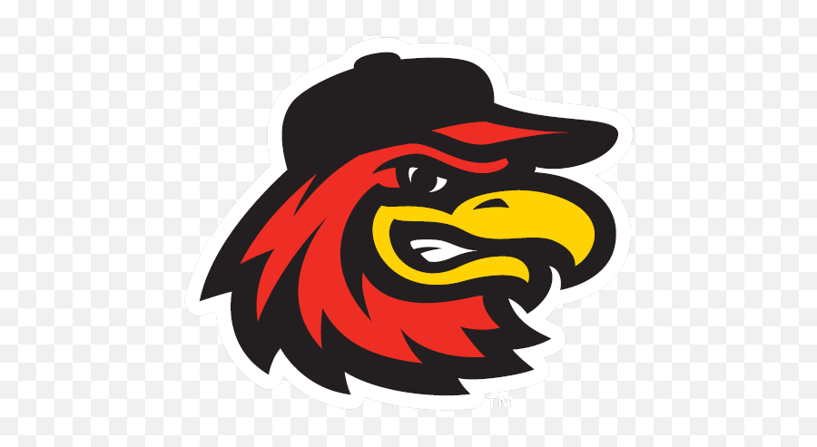 Rochester Red Wings Png Clipart - Vector Rochester Red Wings Logo Emoji,Detroit Red Wings Logo
