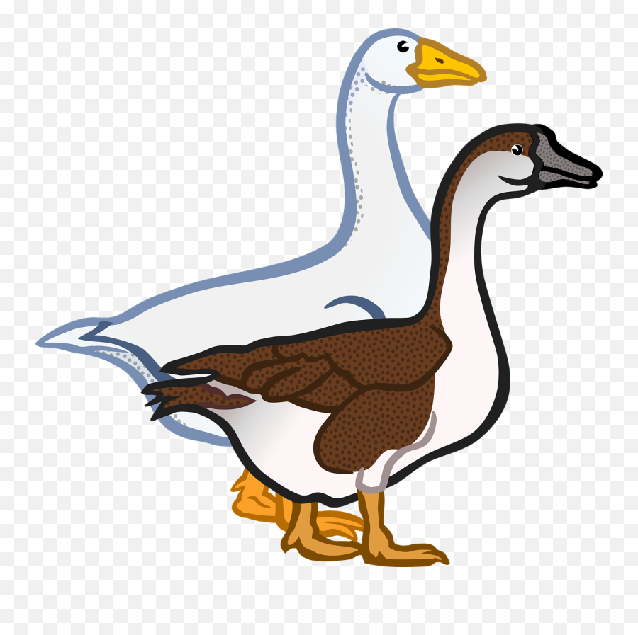 Goose Clipart Water Bird Goose Water - Pair Of Duck Clipart Emoji,Goose Clipart