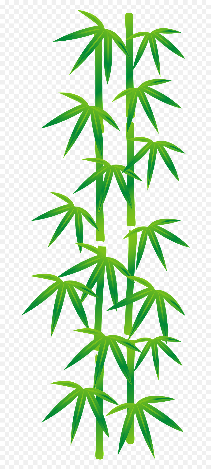 Broad Leaf Bamboo Clipart - Language Emoji,Bamboo Clipart