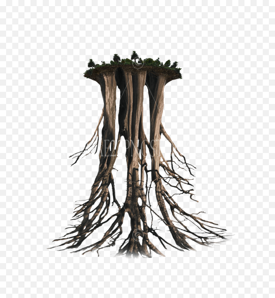 Floating Island - Tree Root Png Emoji,Roots Png