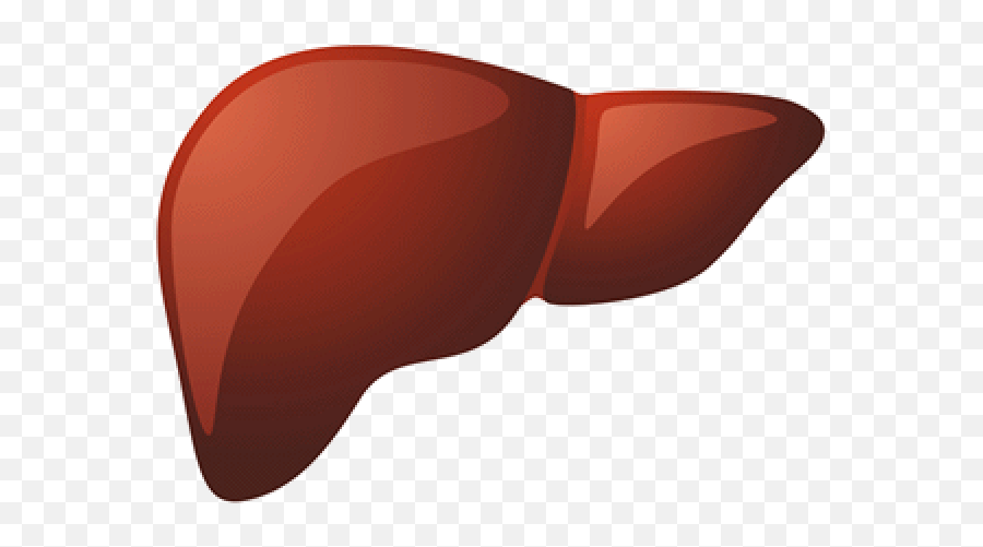 Organs Clipart Liver - Liver Transparent Emoji,Liver Clipart