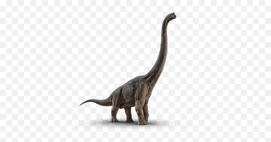 Velociraptor - Real Jurassic Park Dinosaurs Png Emoji,Velociraptor Png