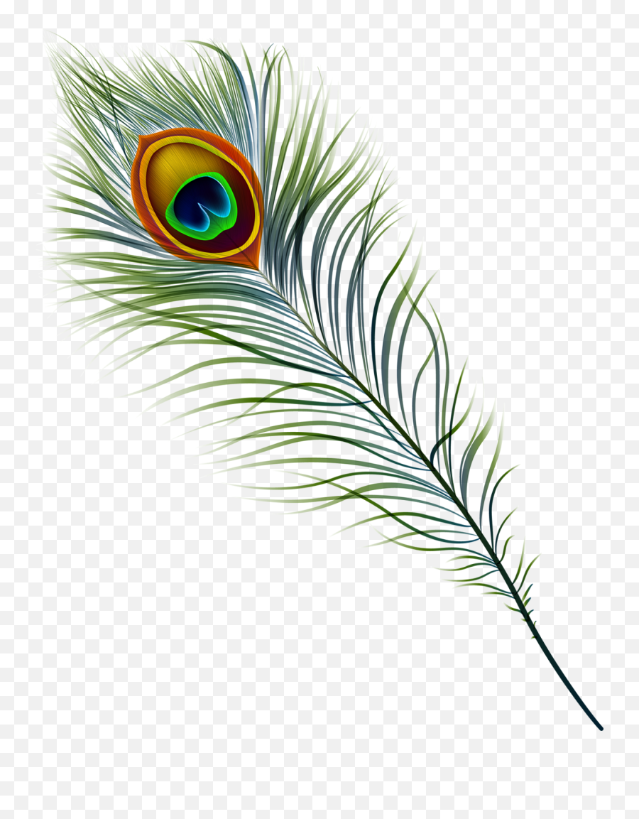 Peacock Feather Clipart Png - Peacock Feather Flute Png Emoji,Feather Clipart