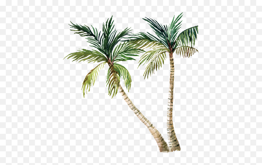 Download Hd Cartoon Palm Trees Emoji,Cartoon Palm Tree Png