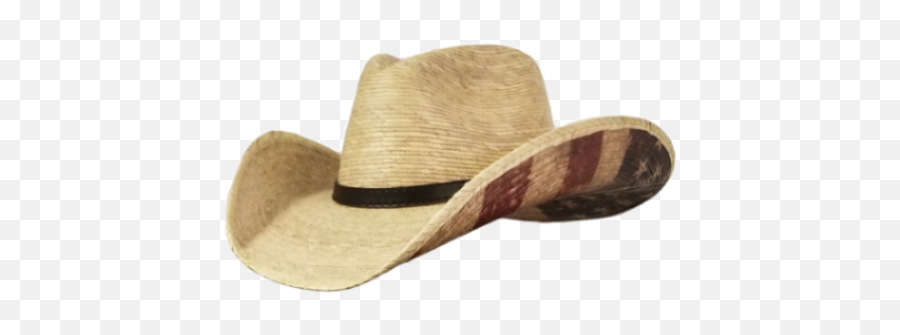 Best 5 Gone Country Cowboy Hats For Men - Sheeba Magazine Emoji,Rice Hat Png