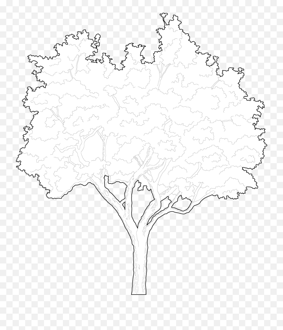 An Apple Tree For The Garden Cad Blocks - Free Dwg U0026 Cad Emoji,Tree Elevation Png
