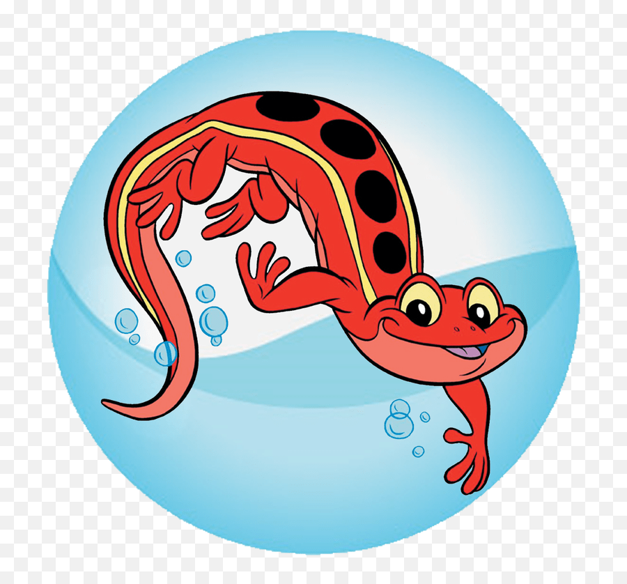 Lessons Deer Lake Recreation Salamander - Red Cross Emoji,Red Cross Clipart