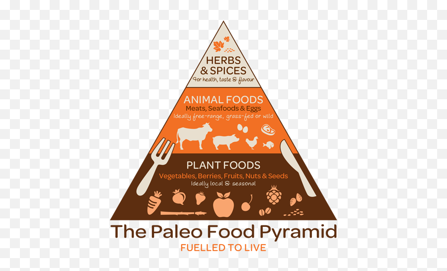 Download Hd Paleo Diet - Paleo Food Pyramid Transparent Png Emoji,Paleo Logo