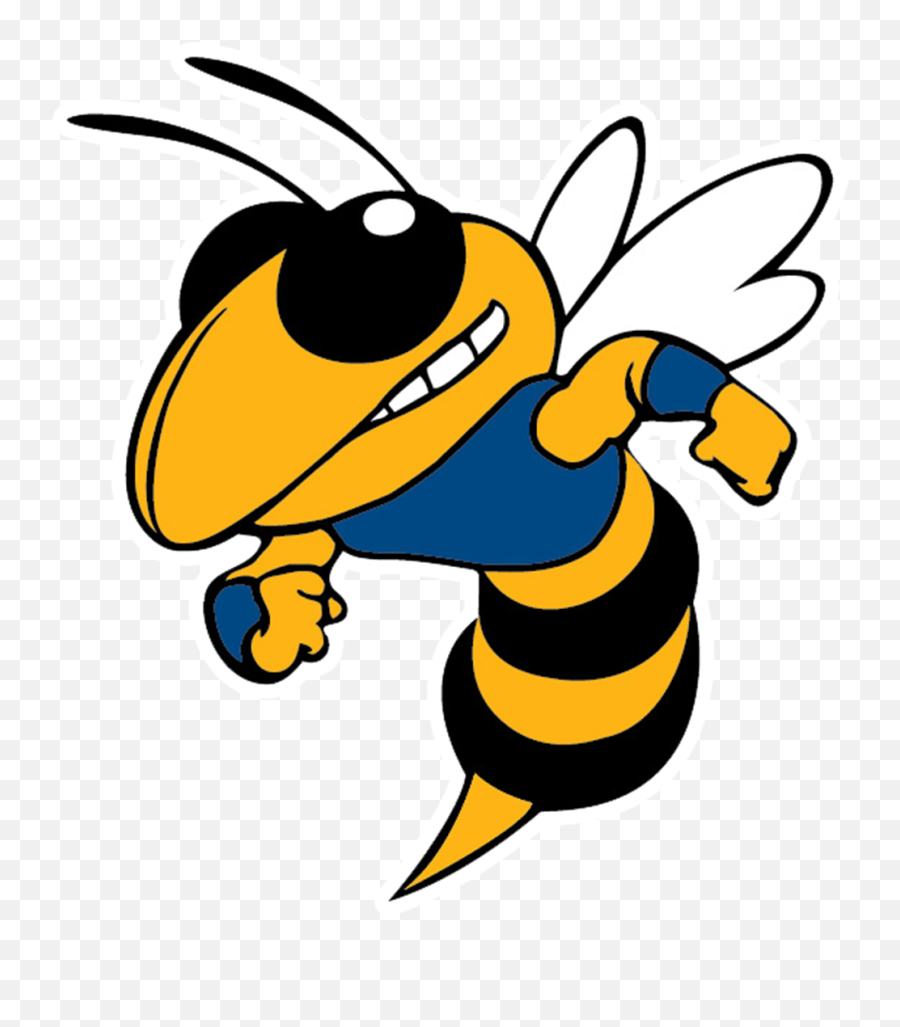 Lake Varsity Girls Softball - Woodford County High School Mascot Emoji,Hornets Logo