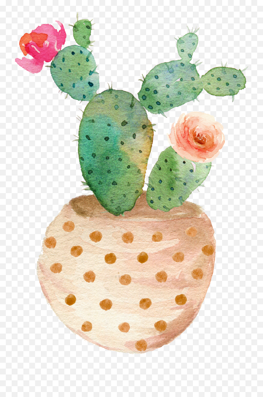 Cactus Vector Transparent Library - Transparent Background Watercolor Succulent Clipart Emoji,Watercolor Clipart