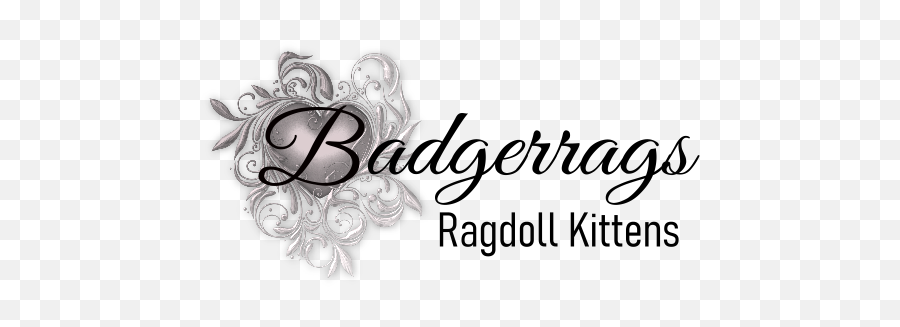 Ragdoll Cat Breeder Ragdoll Kittens - Decorative Emoji,Ragdoll Logo