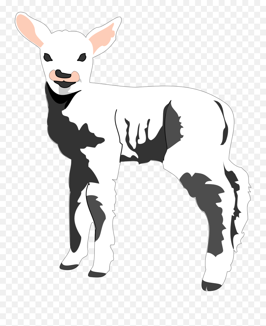 Baby Lamb Drawing Free Image Download - Lamb Clipart Emoji,Baby Lamb Clipart