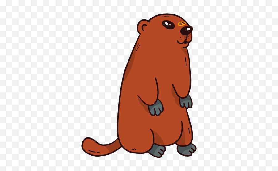Cute Ground Hog Marmot Muzzle Fur Tail Flat Transparent Png Emoji,Chinchilla Clipart