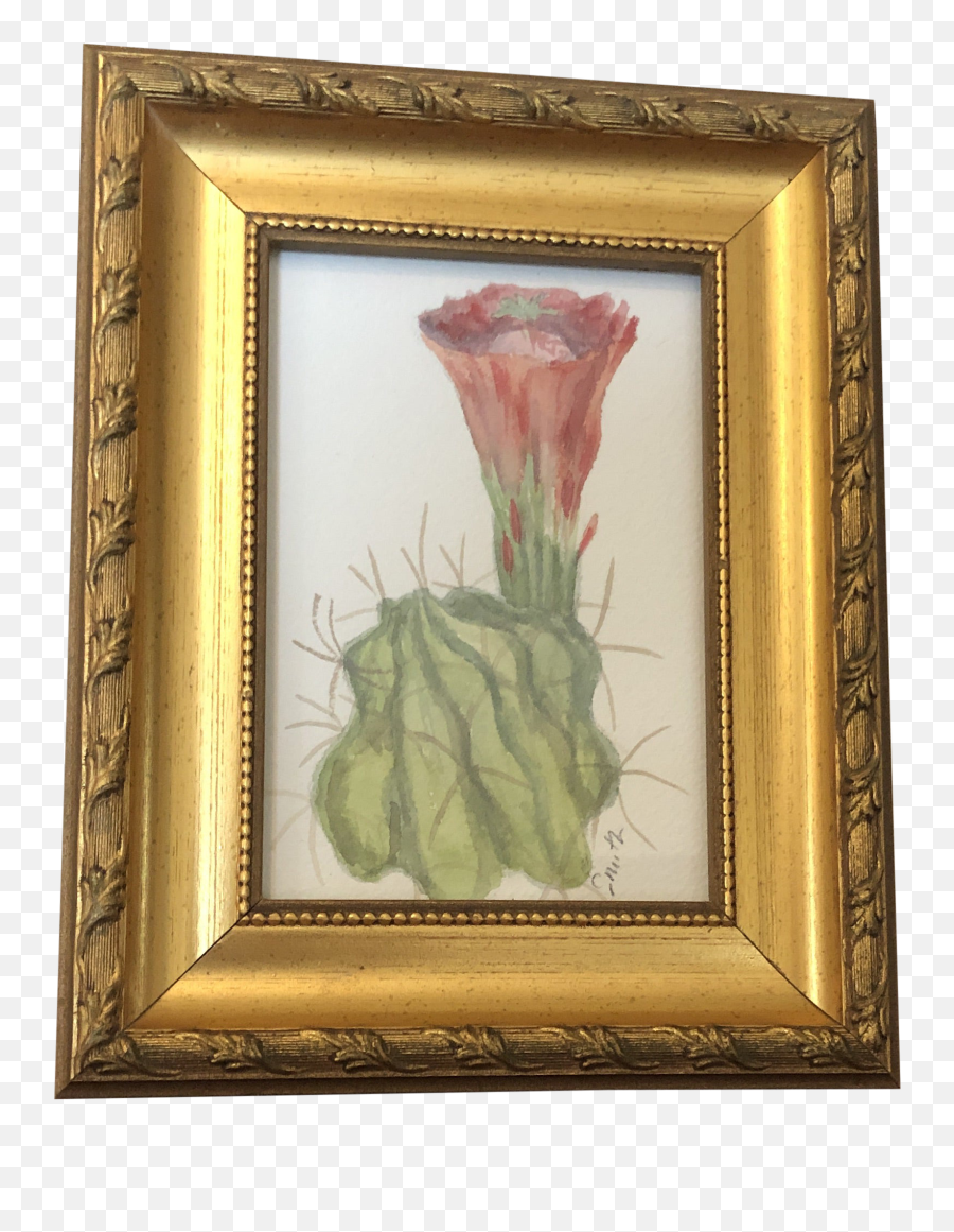 U201chedgehog Cactusu201d Contemporary Botanical Watercolor Painting Framed Emoji,Watercolor Cactus Png