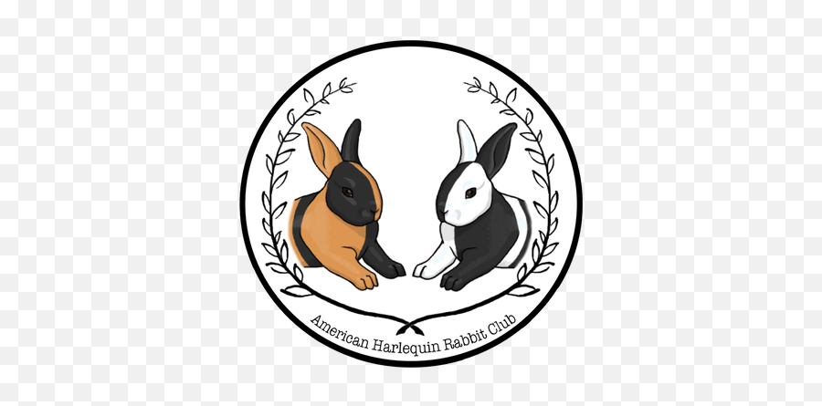 American Harlequin Rabbit Club - Home Domestic Rabbit Emoji,Rabbit Logo