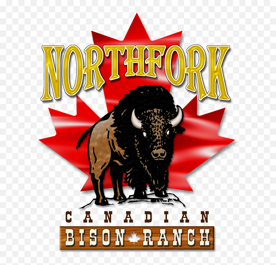 The Story Of Northfork Bison Emoji,Bison Logo