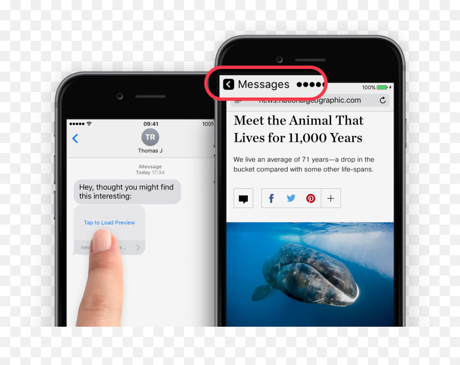 Ios 1413 Imessagemessage Not Working Issues And Their Fixes - Iphone Emoji,Iphone 11 Stuck On Apple Logo