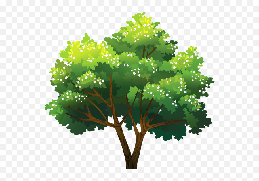 Tree Png - Oak Emoji,Tree Png