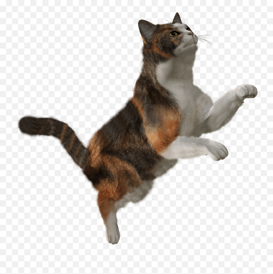 Cute Cat Png Image Download Picture Kitten - Flying Cat Png Emoji,Cat Transparent
