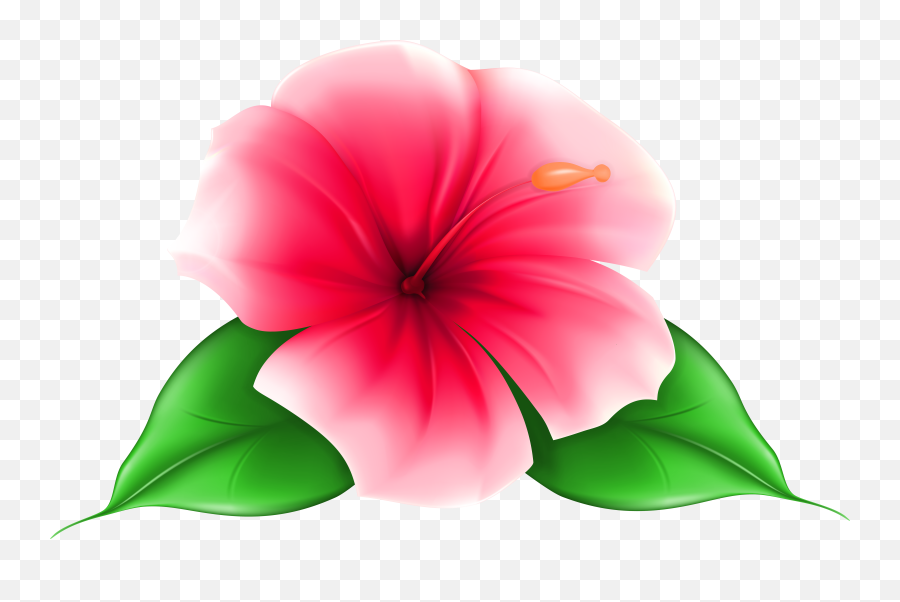 Exotic Flower Png Clip Art Image - Clipart Best Clipart Best Transparent Background Tropical Flowers Clipart Emoji,Flowers Png