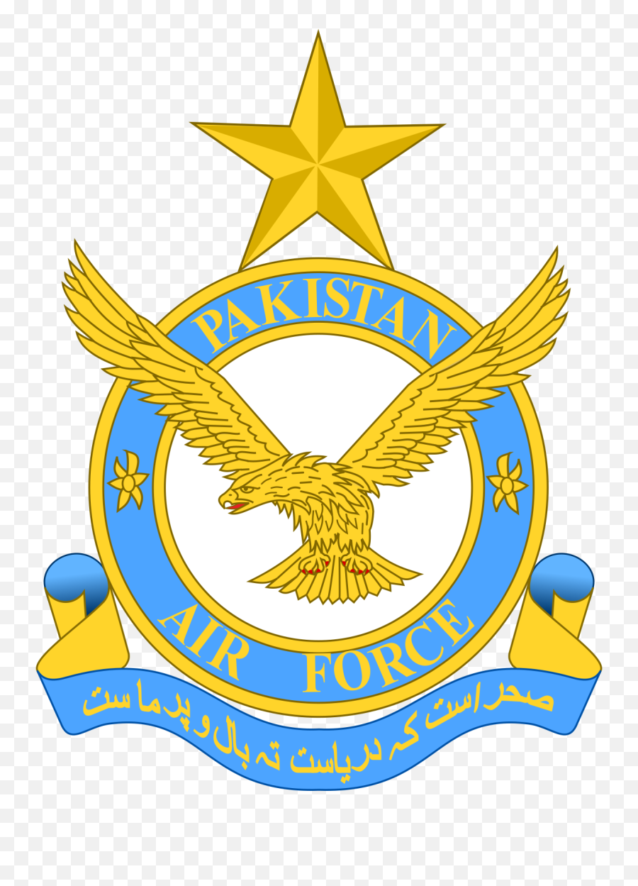 Royal Thai Air Force Wing Basic Degree Badge Pin For Airman Emoji,Air Force Wings Logo
