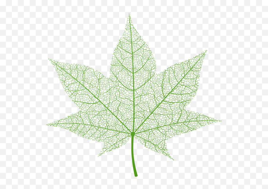 Green Leaf - Autumn Leaves Png Transparent Png Original Make Transparent Leaf Emoji,Green Leaves Png