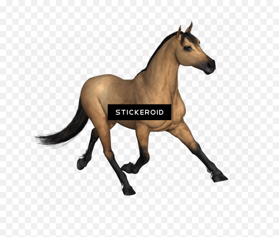 Transparent Horses Running - Cal 3d Emoji,Running Horse Clipart