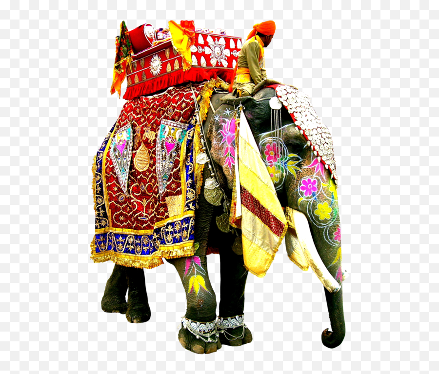 Wedding Elephant In Bahadurgarh - Decorated Indian Elephant Decorated Indian Elephant Png Emoji,Elephant Png