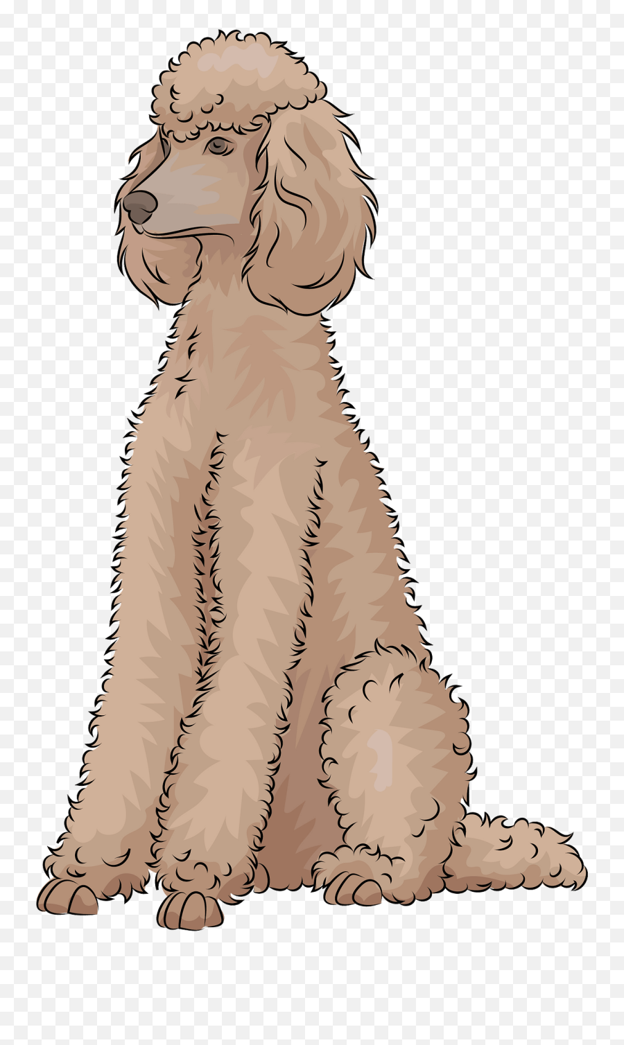 Standard Poodle Clipart - Poodle Clipart Emoji,Poodle Clipart