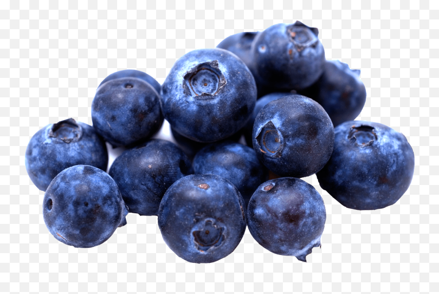 Group Of Blueberries Transparent Png - Blueberry Png Emoji,Blueberry Png