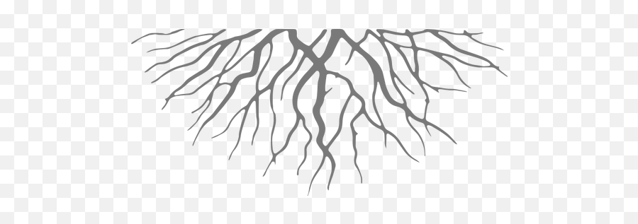 Download Roots Png - Transparent Background Roots Png Emoji,Roots Png