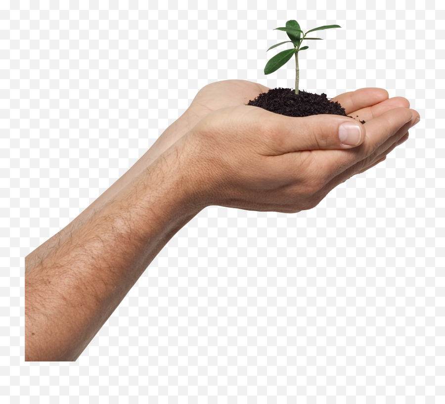 Sprout In Hand Png - Composting Emoji,Sprout Png