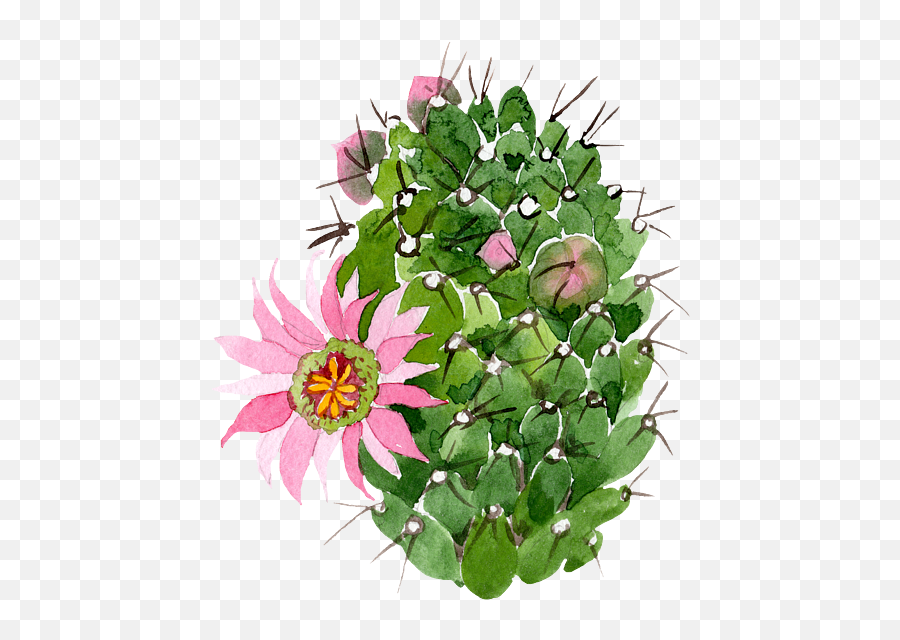 Cactus Watercolor Pink Flower Cactus Puzzle Emoji,Watercolor Cactus Png