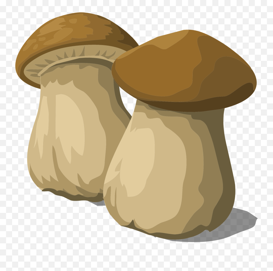 Porcini Mushrooms For Cooking Food As An Illustration Free Emoji,Penny Transparent Background