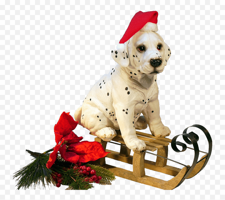 Christmas Dogs Png U0026 Free Christmas Dogspng Transparent - Christmas Dog Png Emoji,Doge Transparent