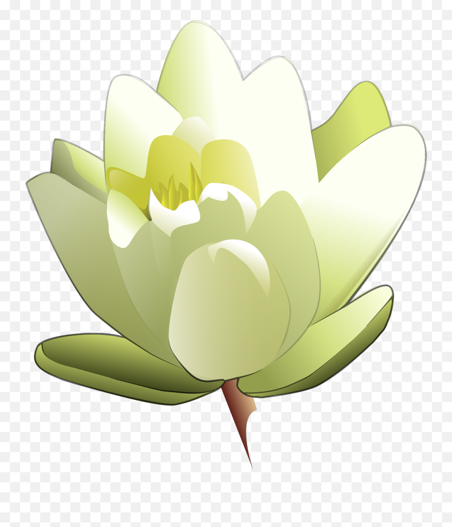 Amazing Lotus Flower Png Download Emoji,Lotus Flower Png