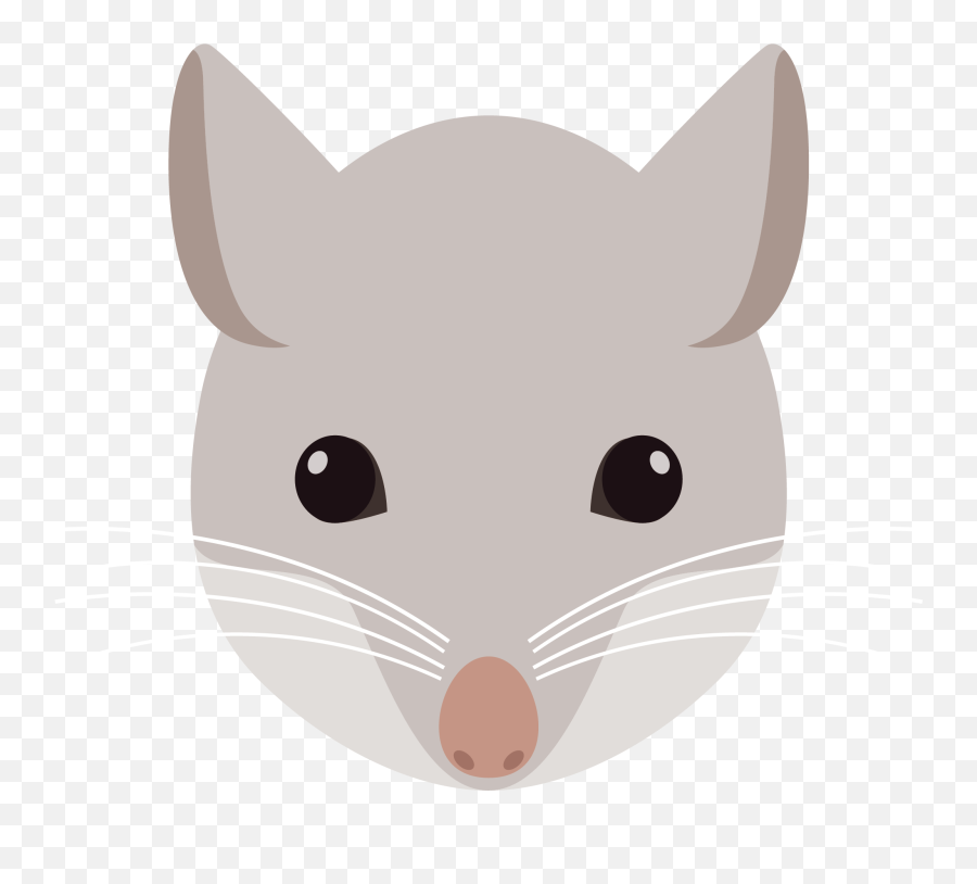 Download Rat Mouse Clip Art - Mouse Head Cartoon Png Image Cartoon Mouse Head Png Emoji,Rat Transparent Background