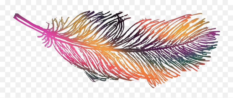 Colorful Feather Png Silhouette - Feather Drawing Png Emoji,Feather Transparent Background