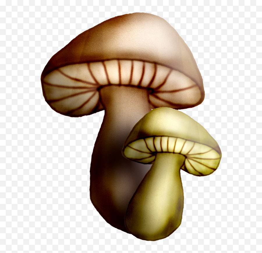 Mushrooms Clipart Oyster Mushroom - Oyster Mushroom Full Emoji,Oyster Clipart