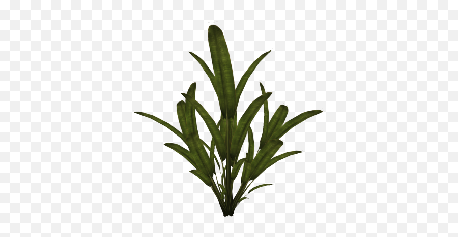 Download Plant Free Png Transparent Image And Clipart - Plant Sprite Png Emoji,Succulent Clipart