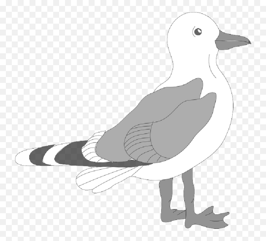 Library Of Free Banner Library Library - Cartoon Black And White Seagull Emoji,Free Clipart Downloads