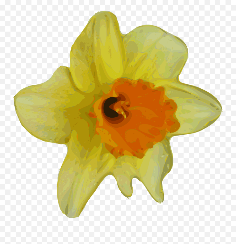 Onlinelabels Clip Art - Jonquil Png Emoji,Daffodil Clipart