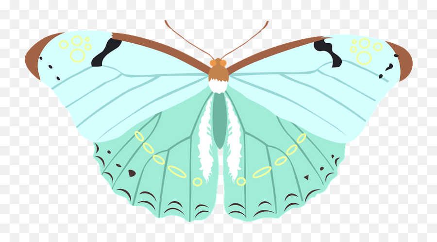Butterfly Clipart Free Download Transparent Png Creazilla - Pieridae Emoji,Free Butterfly Clipart