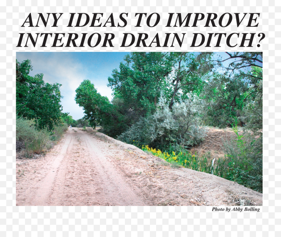 2020 Sept 5 Issue U2013 Any Ideas For Interior Drain Ditch Emoji,Dirt Path Png