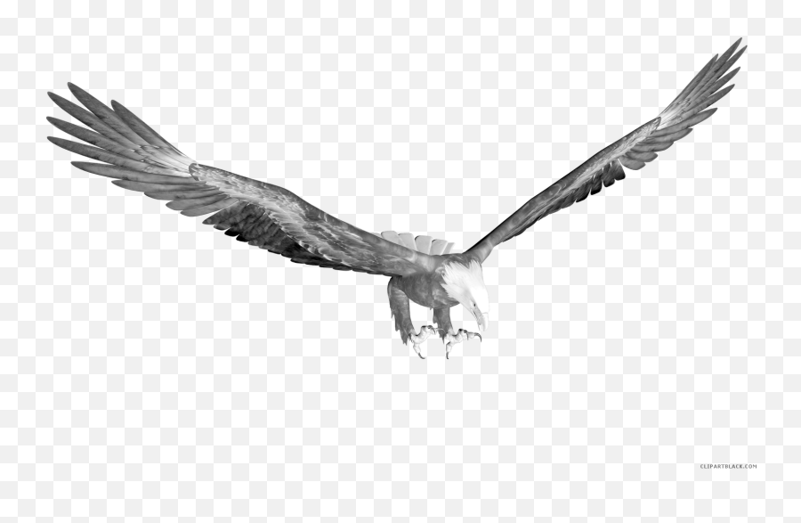 Download Eagle Animal Free Black White - Sea Eagle Emoji,Eagle Clipart Black And White