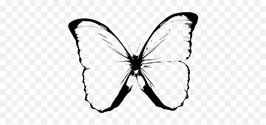 Black And White Butterfly Clipart - Transparent Background Butterflies White Emoji,Butterfly Clipart Black And White