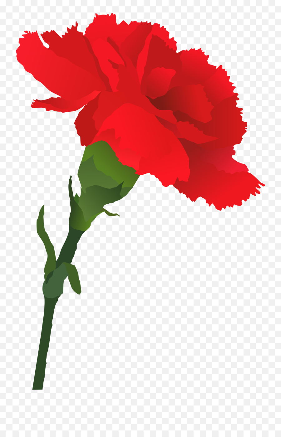 Images Of Carnation - Clipart Best Emoji,Stingrays Clipart