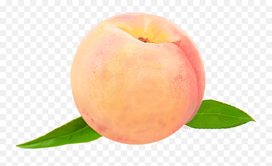 Peach Food Clip Art - Peach Png Download 12801096 Free Peach Emoji,Peach Clipart