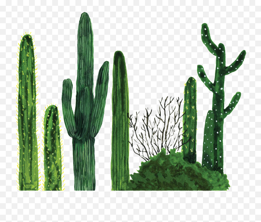 Nopal - Cactus Png Full Size Png Download Seekpng Emoji,Cacti Png